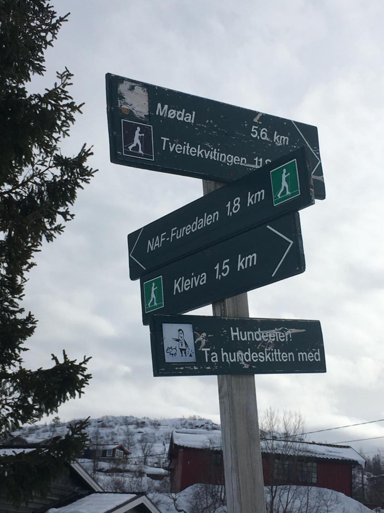 Kvamskogen & Hardanger Holliday Homes Norheimsund Eksteriør bilde