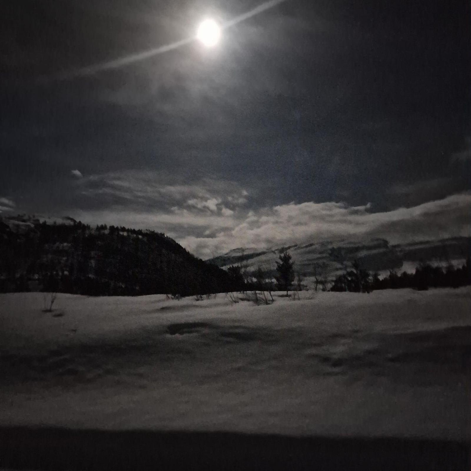Kvamskogen & Hardanger Holliday Homes Norheimsund Eksteriør bilde